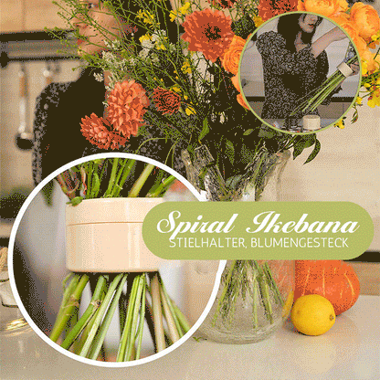 🌷Frühling Vorverkauf 49% Rabatt🍃 Spiralförmiger Blumenanordnungs-Stielhalter